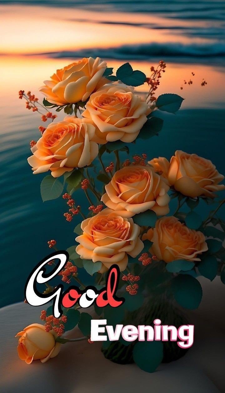 animated good evening images