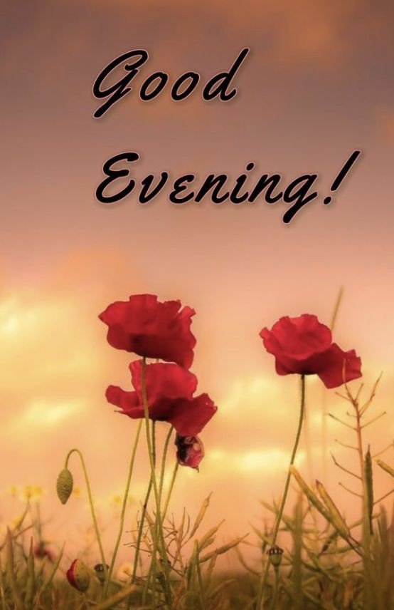 beautiful good evening images with quotes