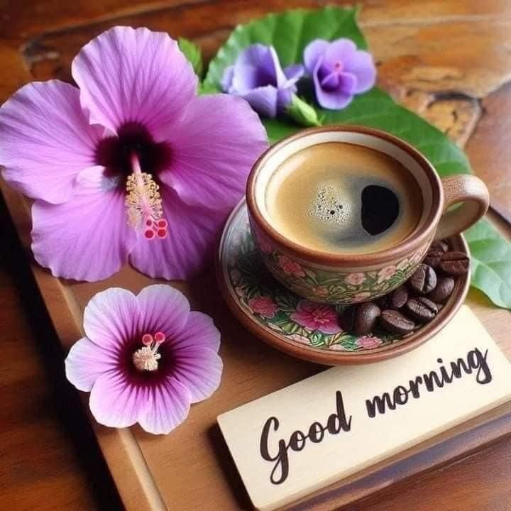 beautiful good morning images and quotes