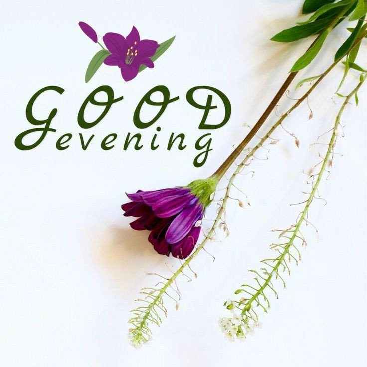 bengali good evening images