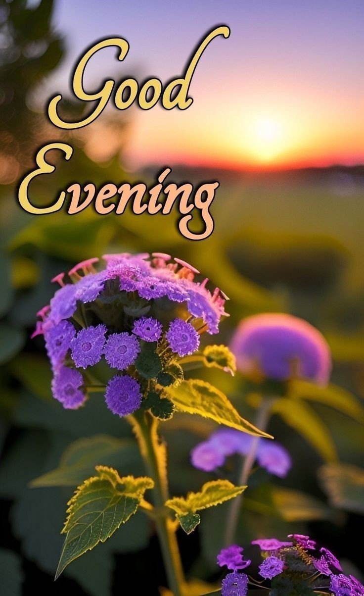 best good evening images with quotes