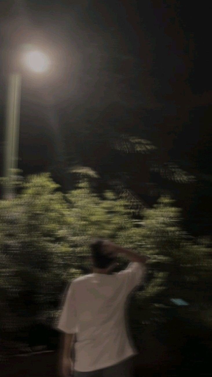 butterfly aesthetic dp