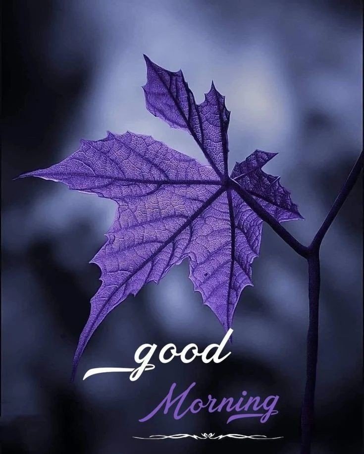 coffee good morning images