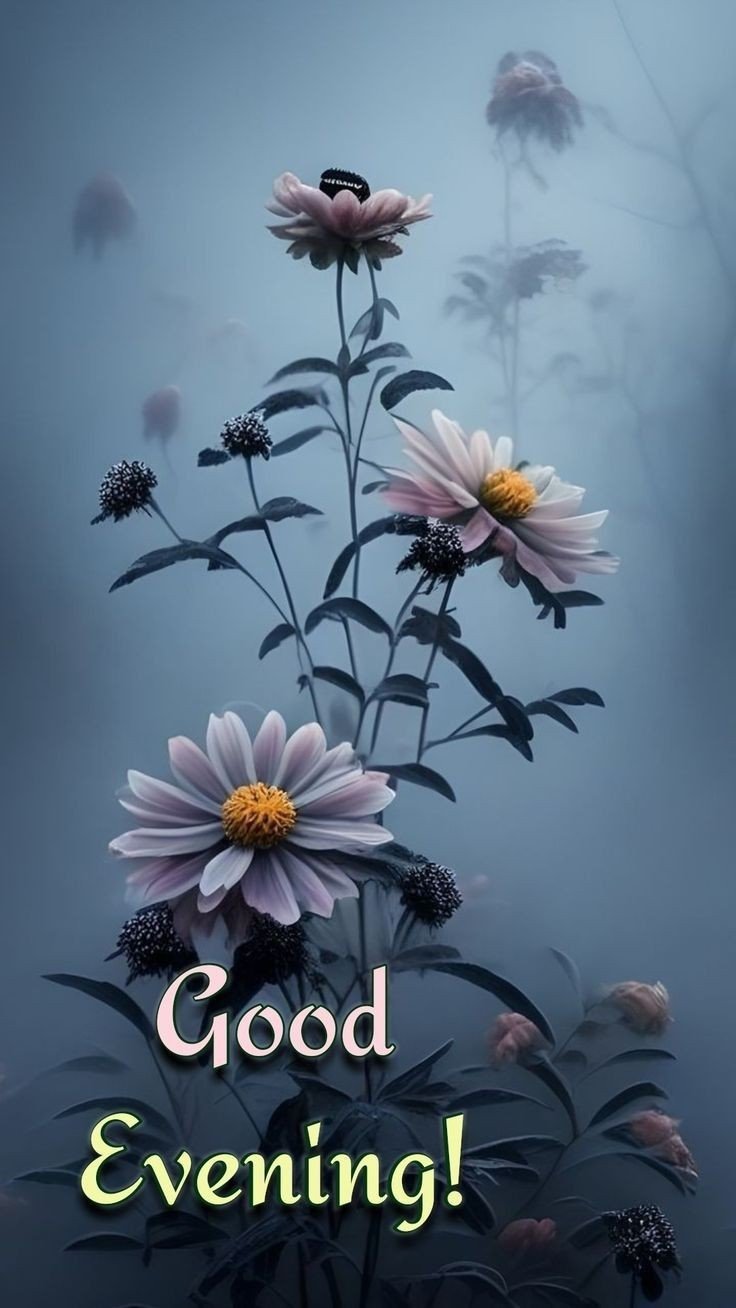good evening images