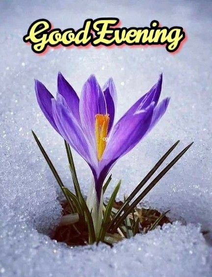 good evening images clipart