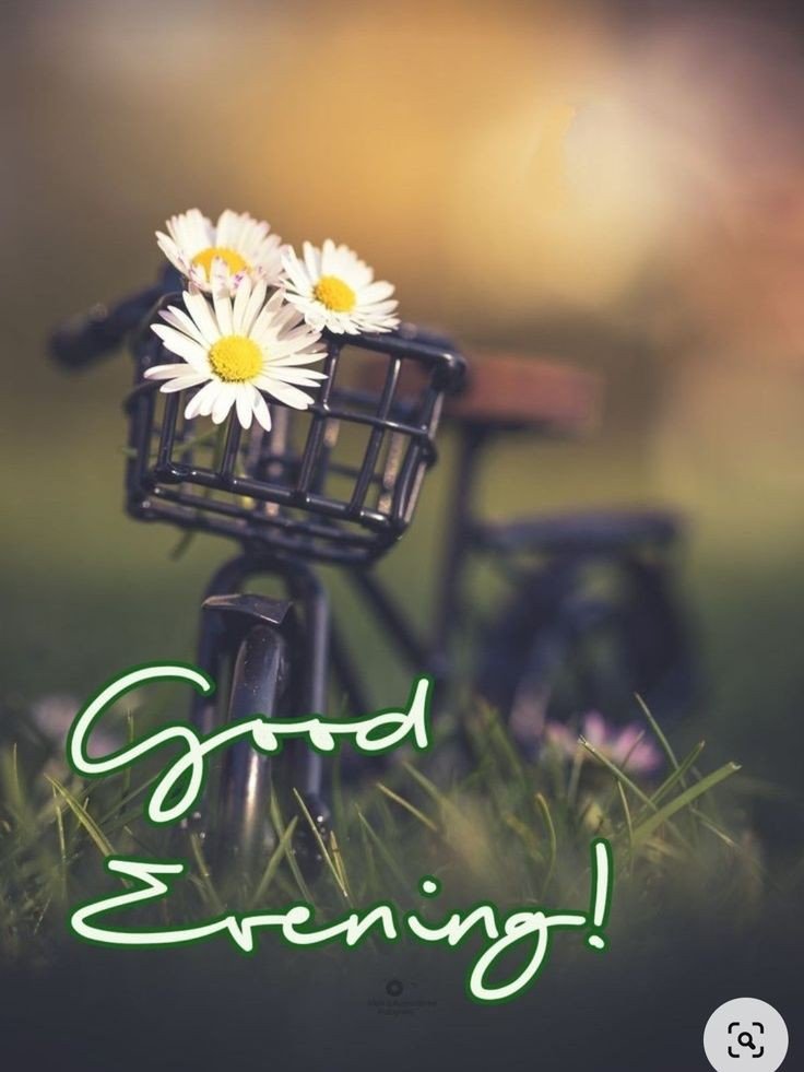 good evening images for whatsapp download