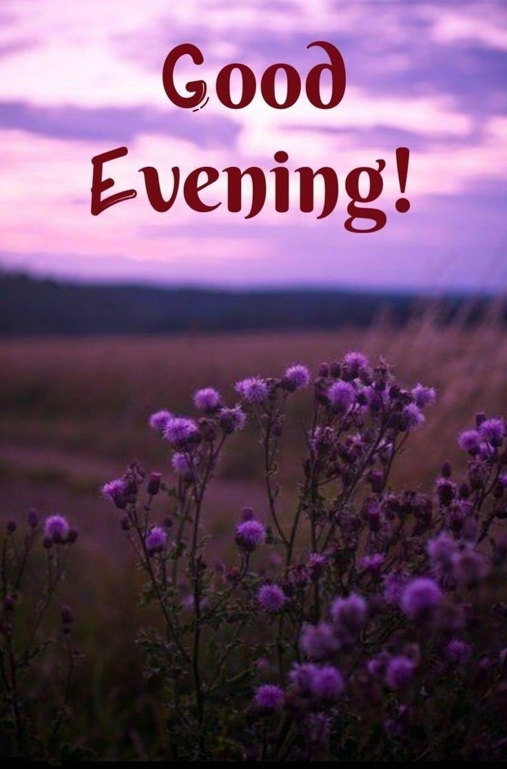 good morning images aesthetic