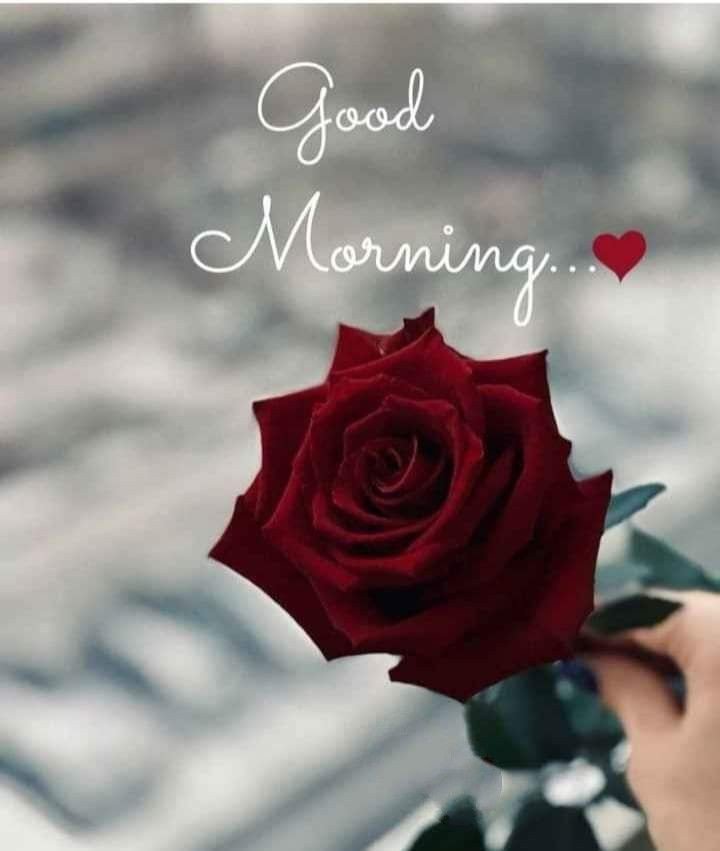 good morning images and quotes