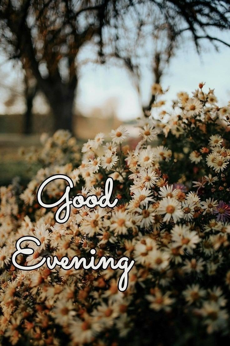 good morning images download for whatsapp