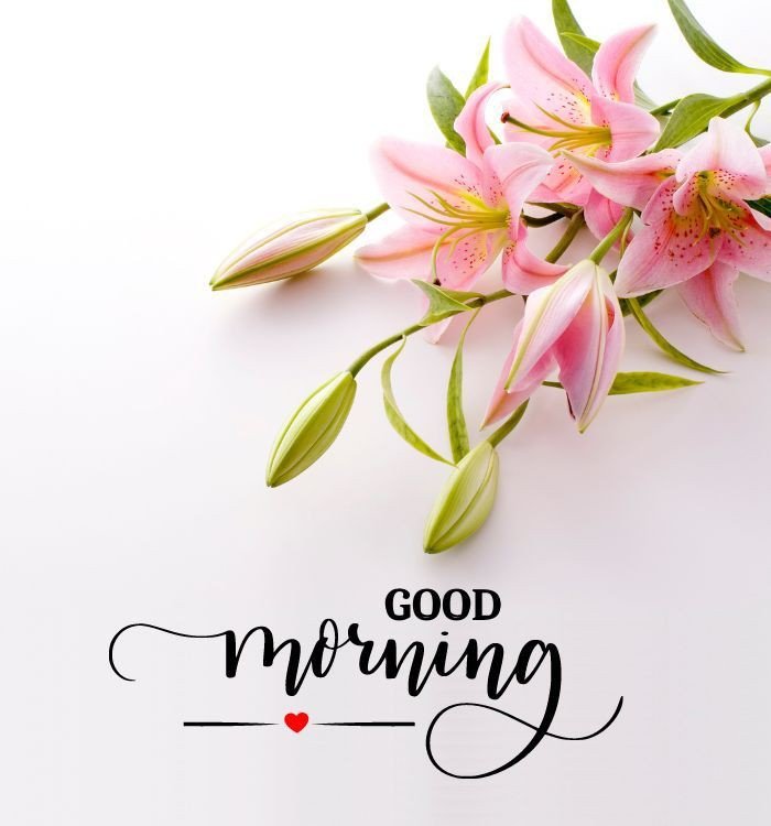 good morning photo funny