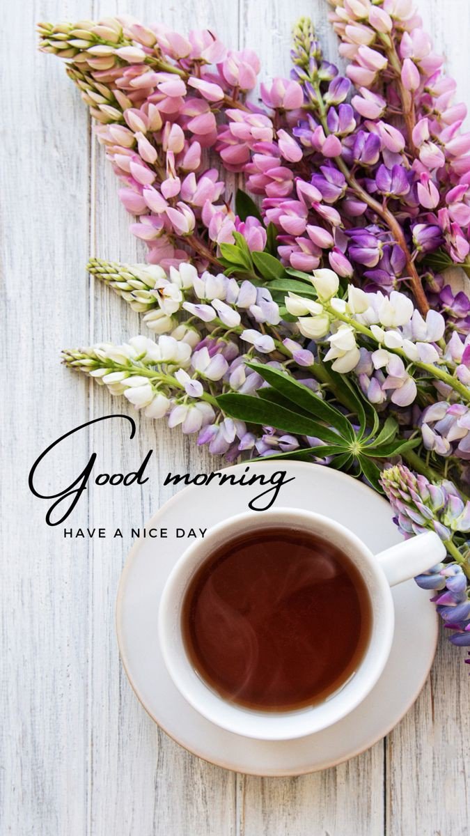 good morning pics funny