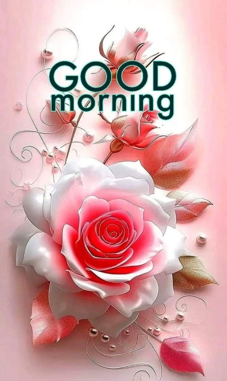images of good morning saturday blessings