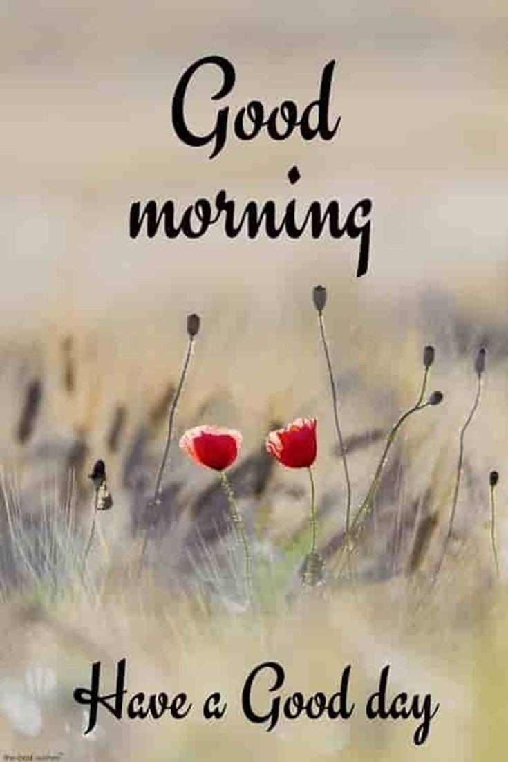 jalaram bapa good morning photo