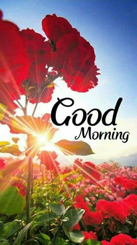 today special good morning images download for whatsapp