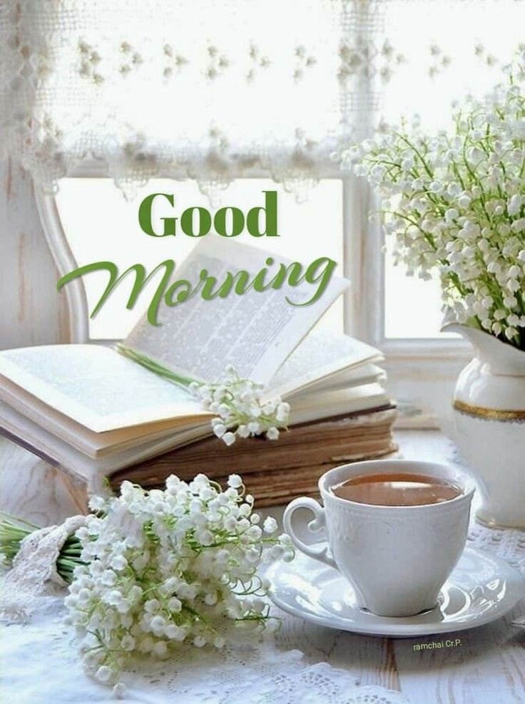 today special good morning images in chinese