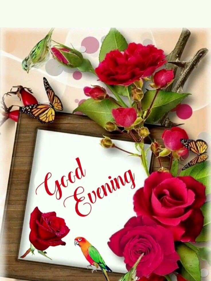 african american good evening images